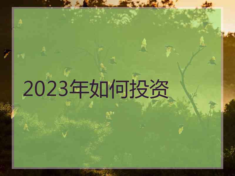 2023年如何投资