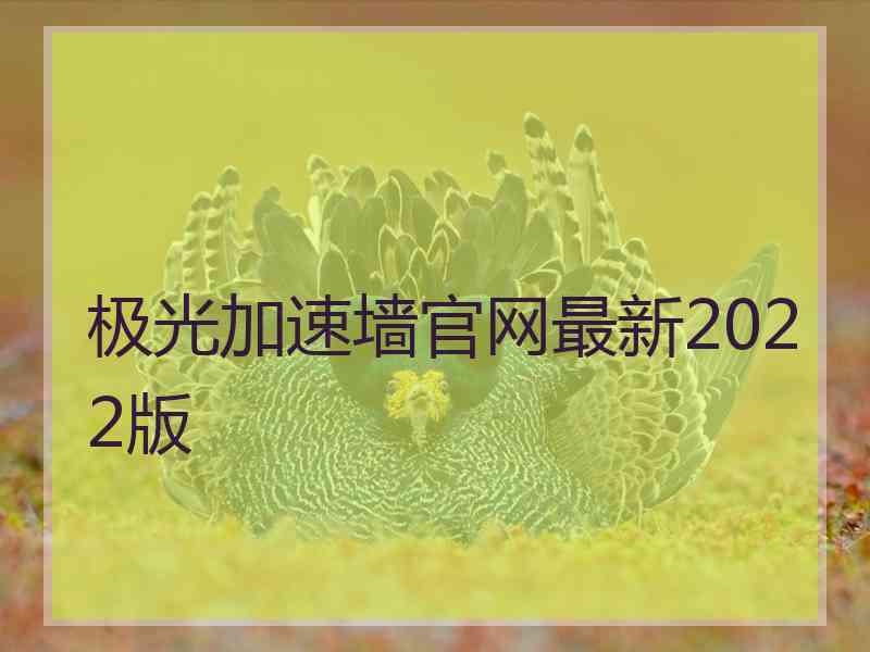 极光加速墙官网最新2022版