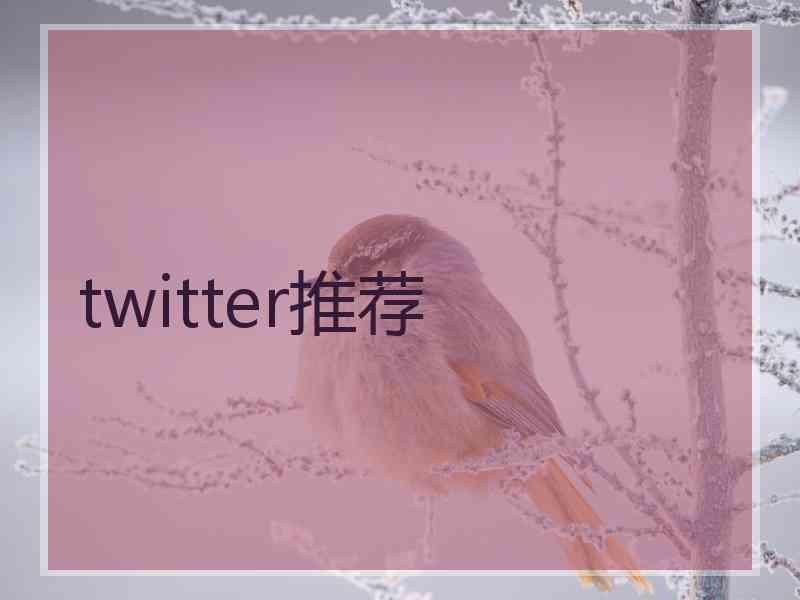 twitter推荐