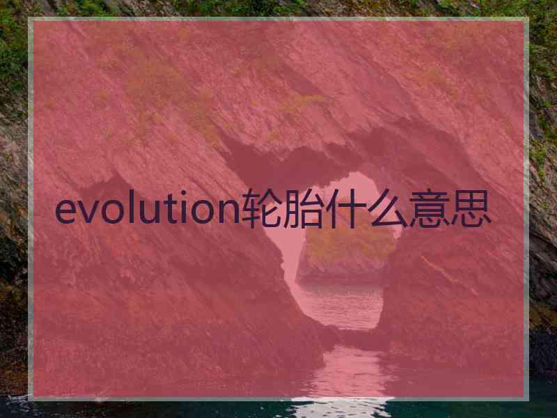 evolution轮胎什么意思