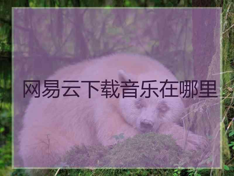 网易云下载音乐在哪里