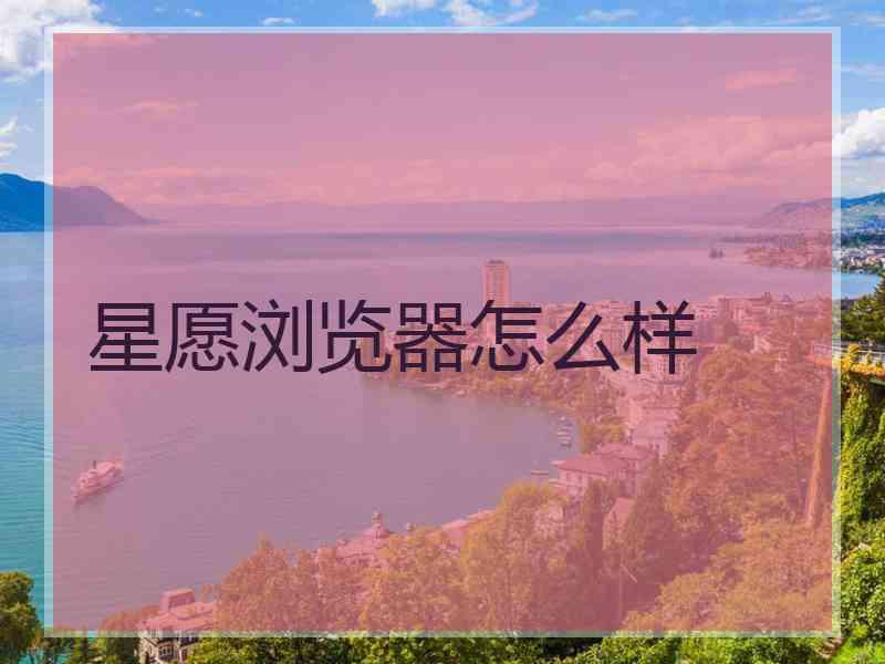 星愿浏览器怎么样