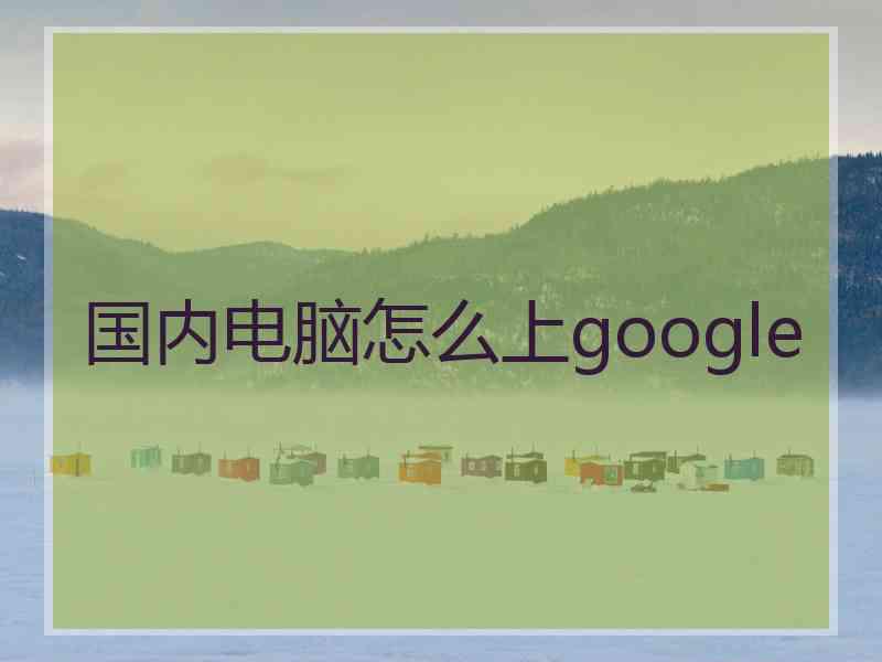 国内电脑怎么上google