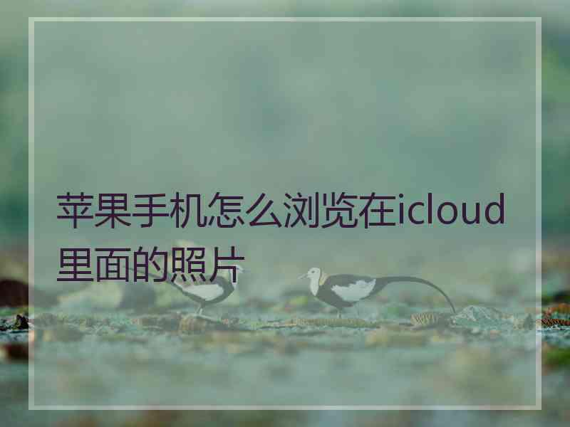 苹果手机怎么浏览在icloud里面的照片