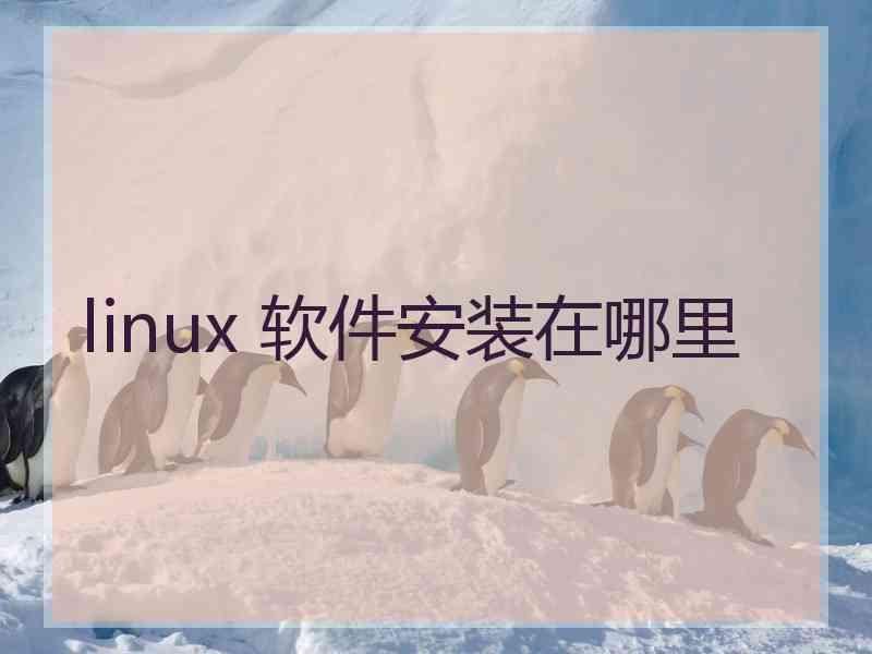 linux 软件安装在哪里