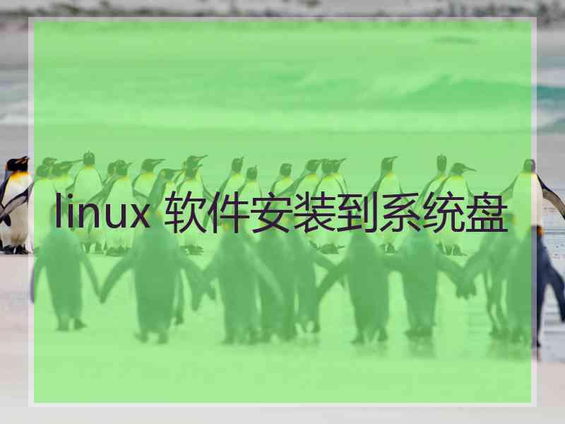 linux 软件安装到系统盘