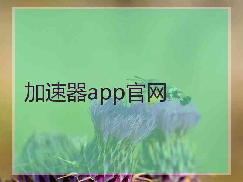 加速器app官网