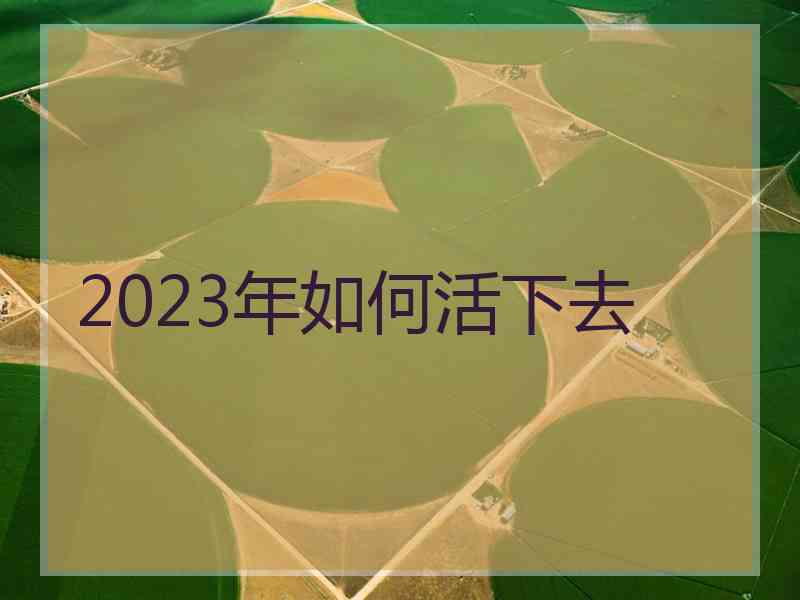 2023年如何活下去