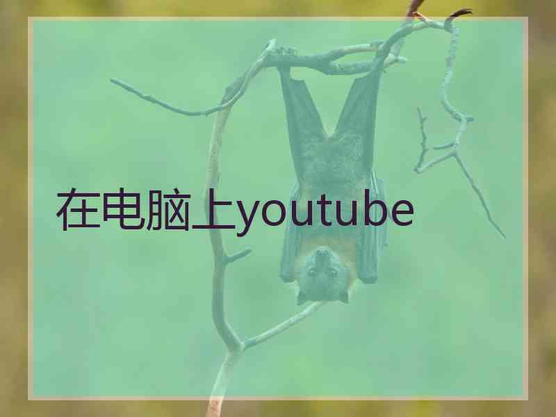 在电脑上youtube