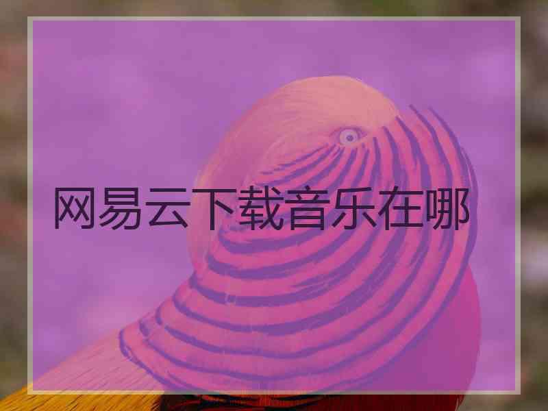 网易云下载音乐在哪