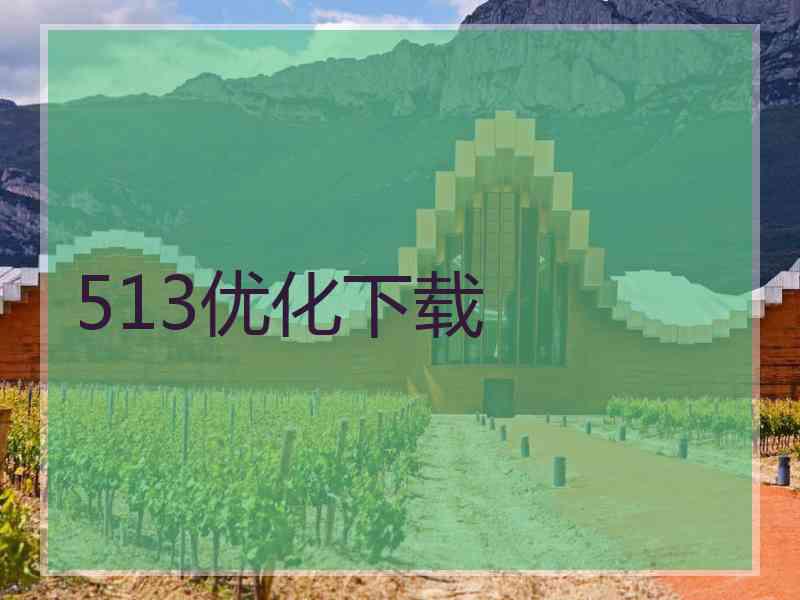 513优化下载