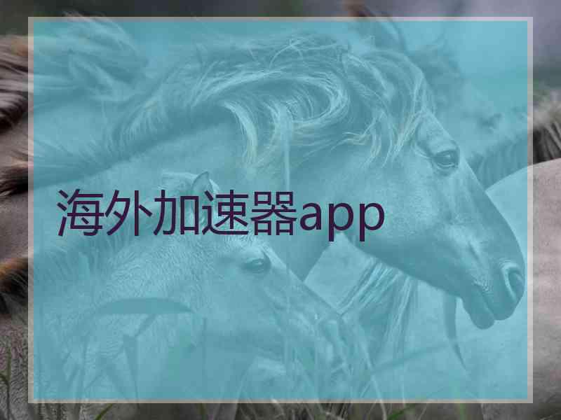 海外加速器app