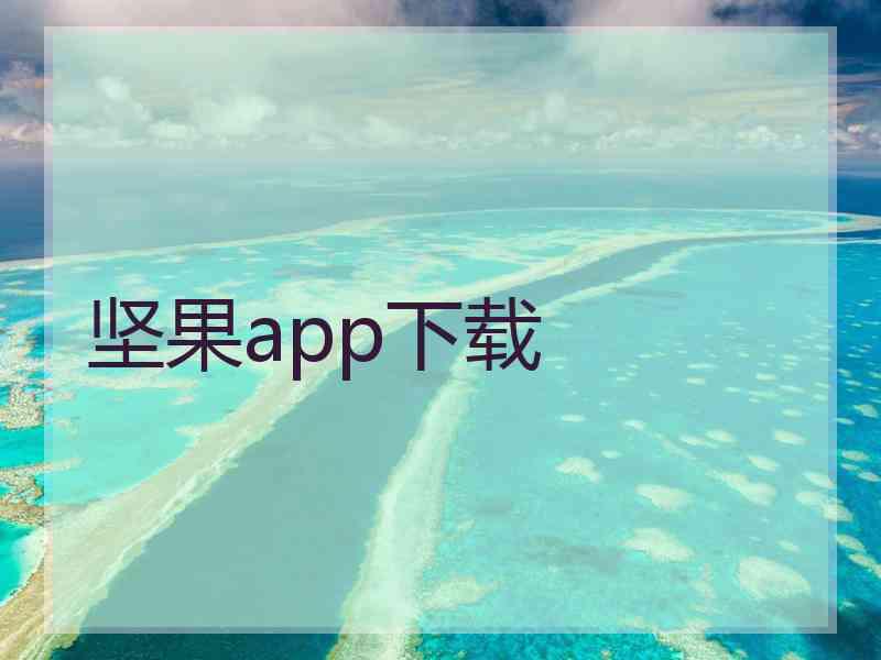 坚果app下载