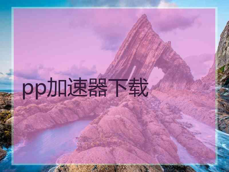 pp加速器下载